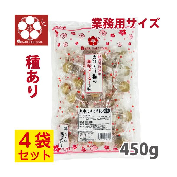 赤城フーズ 熱中カリカリ梅 業務用サイズ 450g 4袋セット ガツンと