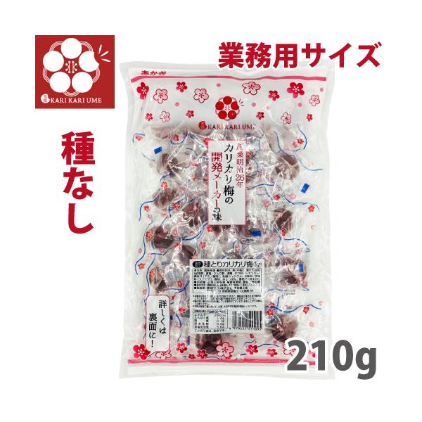 他サイト： 赤城フーズ 種とりカリカリ梅 1袋 210g 大粒  業務用サイズ 熱中症対策 種無しかりかり梅の商品画像