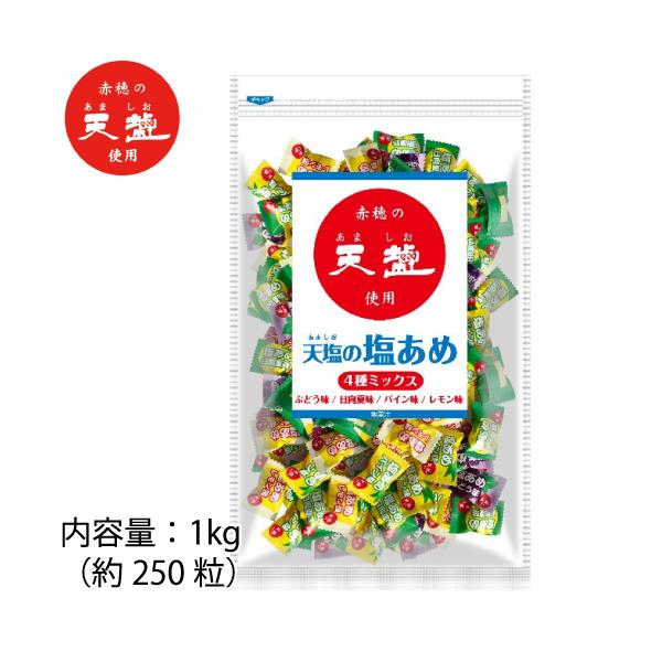 赤穂化成 天塩の塩あめ 1kg(約250粒) 日向夏・レモン・パイン・ぶどう 業務用 塩飴 熱中飴