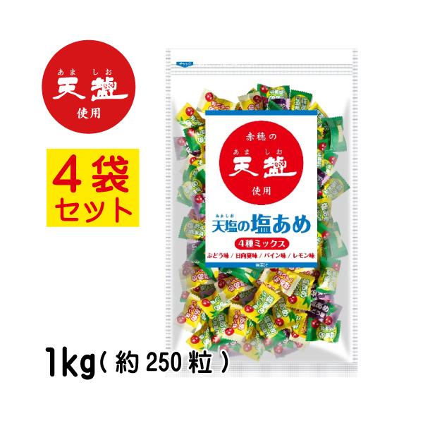赤穂化成 天塩の塩あめ 4袋セット 1kg (約250粒) 日向夏・レモン・パイン・ぶどう 業務用 塩飴 熱中飴