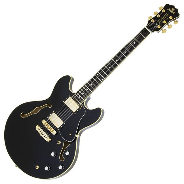 【訳あり】Aria ProⅡ TA-Ⅲ セミアコースティックギター セミアコ Aria Pro II TA-III TA-3 セミアコ 美品 動作良好 - メルカリ