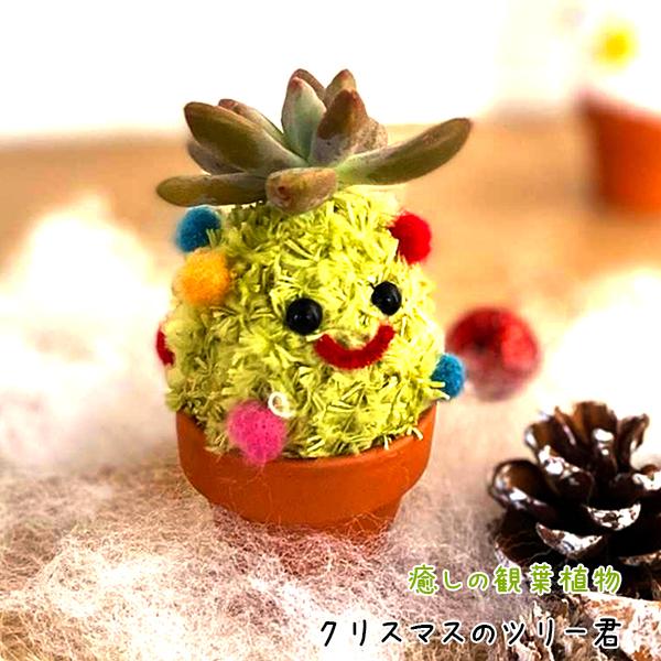 癒しの観葉植物 のツリー君 プレゼント 結婚祝い 出産祝い 退職祝い 快気祝い 花粉なし おしゃれ かわいい ギフト 誕生日プレゼント 贈答 Suzukakaki 013 ギフト通販の専門店たきび 通販 Yahoo ショッピング