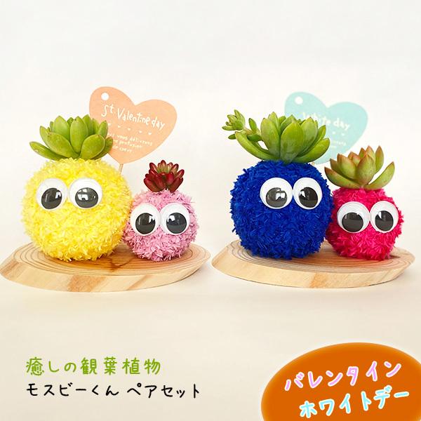 ホワイトデー 癒しの観葉植物モスビーくん ペアセット ホワイトデー 花粉なし おしゃれ かわいい ギフト 誕生日プレゼント 贈答 贈り物 インテリア 置物 Suzukakaki 019 ギフト通販の専門店たきび 通販 Yahoo ショッピング