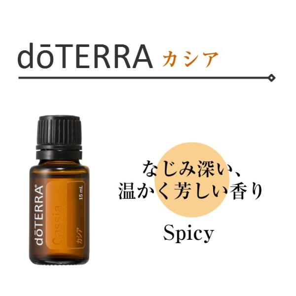 ドテラ カシア 15ml シングルオイル【使用期限：2028年3月】 : TKI