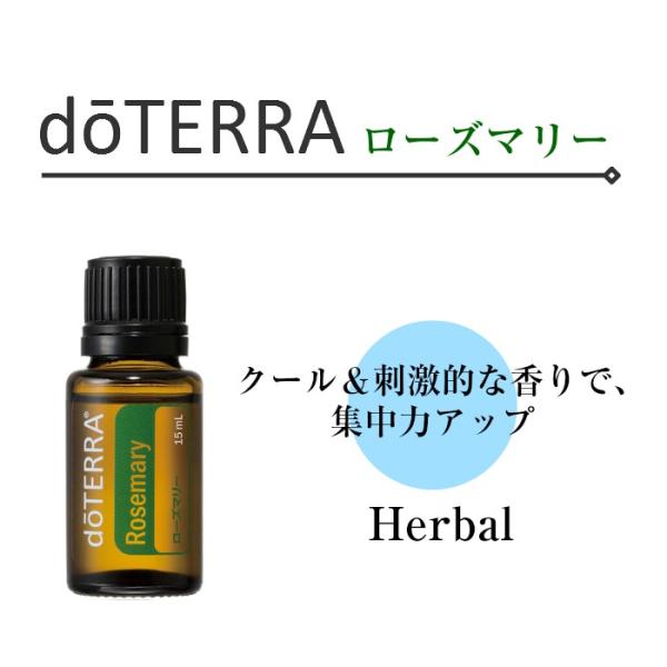 takikawa-shop_doe-rosem-y