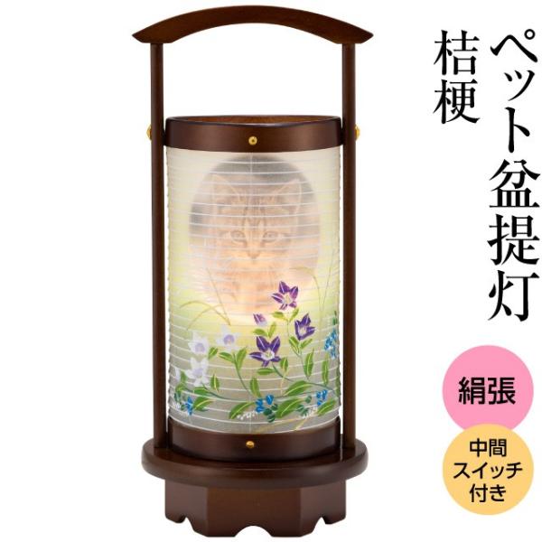 ybg~ ~j ~ j[() iybg ybg{j