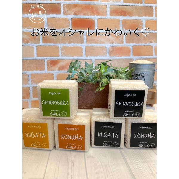 米ギフト プチギフト 令和7年産 新潟産コシヒカリ 魚沼産コシヒカリ 新潟産新之助 食べ比べセット 真空パック 【米屋女子企画】