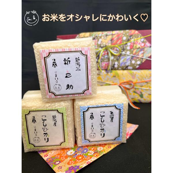 和柄デザインキューブ 令和7年産 新潟産コシヒカリ 魚沼産コシヒカリ 新潟産新之助 食べ比べ真空パック2合  ギフト 母の日 父の日ギフト【米屋女子企画】