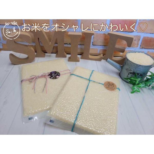 お米ギフト 令和7年産 新潟産コシヒカリ 真空パック2合 お返し プチギフト ご挨拶 かわいい米 オシャレなお米　ネコポス商品【米屋女子企画】