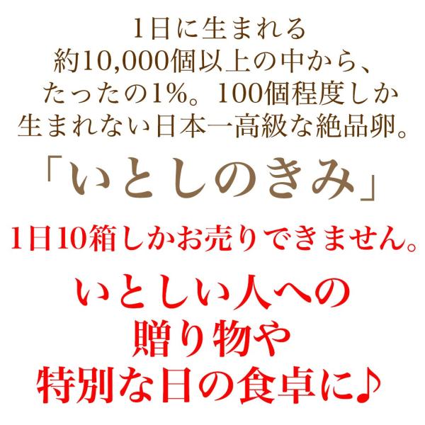 卵 ギフト 送料無料 高級 男子ごはんTV紹介 究極の卵かけご飯 1日限定10箱 いとしのきみ 10個入 化粧箱入(掛け紙・水引付) 生卵 お取り寄せグルメ /【Buyee】 卵 ギフト 送料無料 高級 男子ごはんTV紹介 究極の卵かけご飯 1日限定10箱 いとしのきみ 10個入 化粧箱入(掛け紙・水引付) 生卵 お取り寄せグルメ /【Buyee】