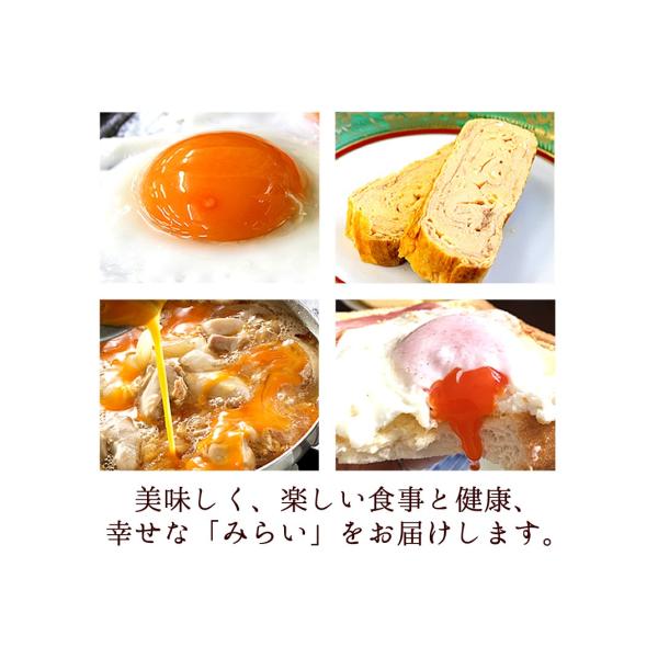 卵 高級 卵かけご飯 生卵 にんにく卵 18個入 卵 甘く生臭さニンニク臭無し 青森の特産にんにくで育った純国産鶏が産む健康卵 ご自宅用 青い 送別 Buyee Buyee 日本の通販商品 オークションの代理入札 代理購入