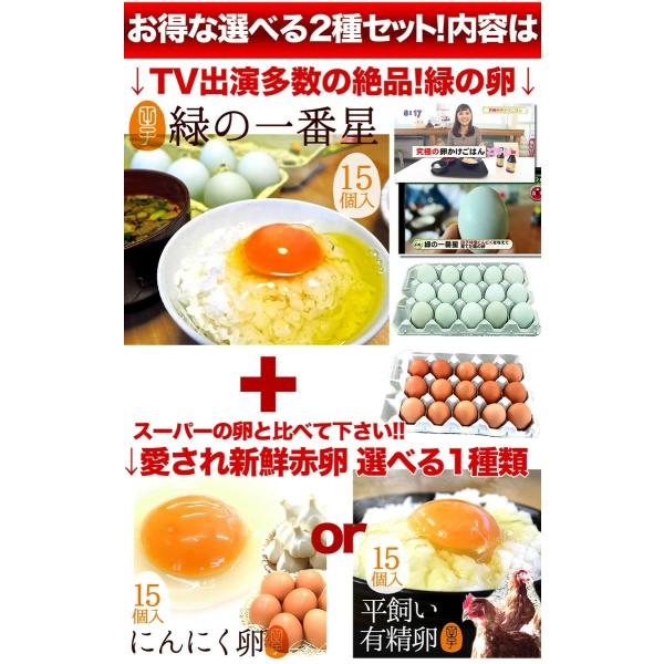 卵 玉子 たまご 高級 卵かけご飯に にんにく卵 30個入 25個 破損保証5個 ギフト お取り寄せグルメ 宅配 卵 玉子 たまご 高級 卵かけご飯に にんにく卵 30個入 25個 破損保証5個 ギフト お取り寄せグルメ 宅配