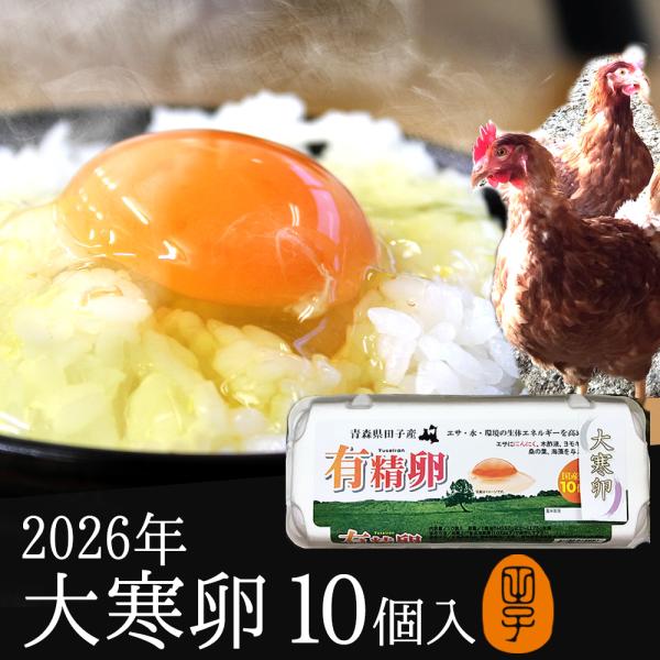 【平飼い有精卵】「田子たまご村」で平飼いされた鶏が産んだ有精卵です。まずは卵かけご飯やゆで卵などシンプルな食べ方で、その味わいをご堪能下さい。【商品説明】 ■店舗：田子たまご村 ■セット内容：平飼い有精卵　 10個 ■原材料名：卵(青森県産...