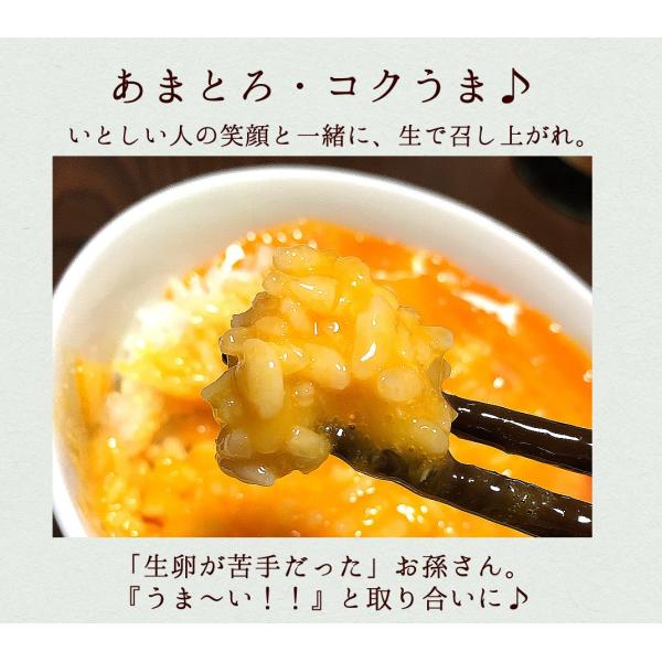 ギフト卵高級卵かけご飯生卵有精卵18個入り飲んでも美味 甘く濃厚平飼い有精卵 Buyee 日本代购平台 产品购物网站大全 Buyee一站式代购