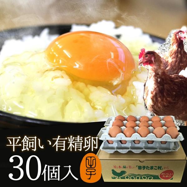 【商品説明】 ■店舗：田子たまご村 ■セット内容：平飼い有精卵　 30個入(生卵25個+破損保証5個) ■原材料名：卵(青森県産) ■賞味期限：生食14〜28日間(季節によって変わります。賞味期限シールをご参照下さい。 ) ■保存方法：冷蔵...