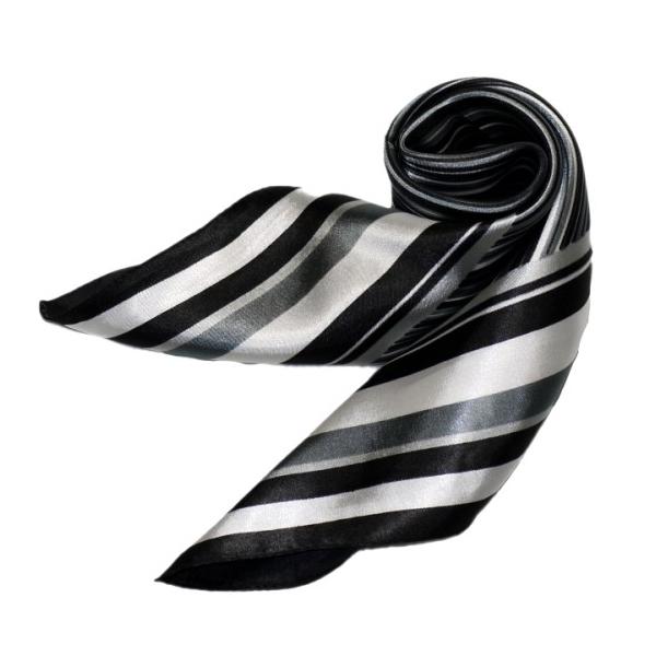 킢VNXJ[t@ 60cm`XJ[t{@ ƐXJ[t @ɁAfjɁAobOɁAɎglCXJ[t