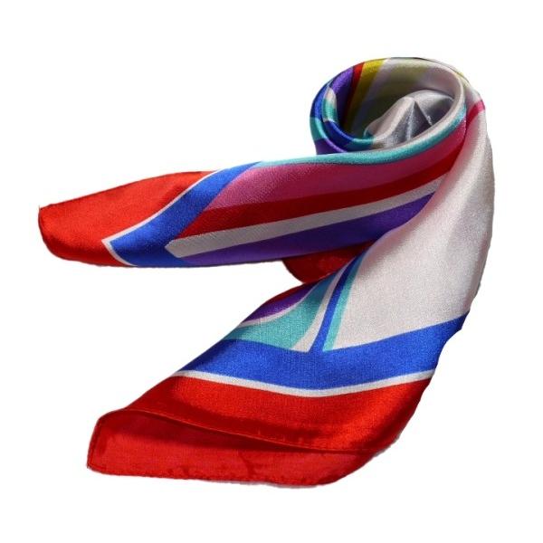 킢VNXJ[t@ 60cm`XJ[t{@ ƐXJ[t @ɁAfjɁAobOɁAɎglCXJ[t