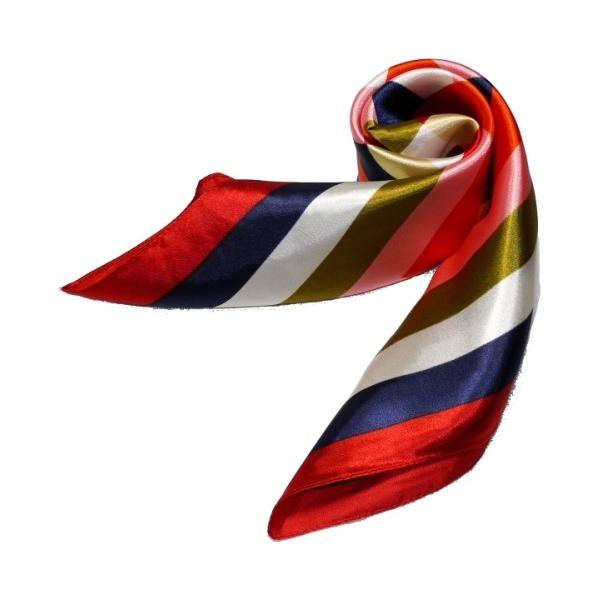 킢VNXJ[t@ 60cm`XJ[t{@ ƐXJ[t @ɁAfjɁAobOɁAɎglCXJ[t