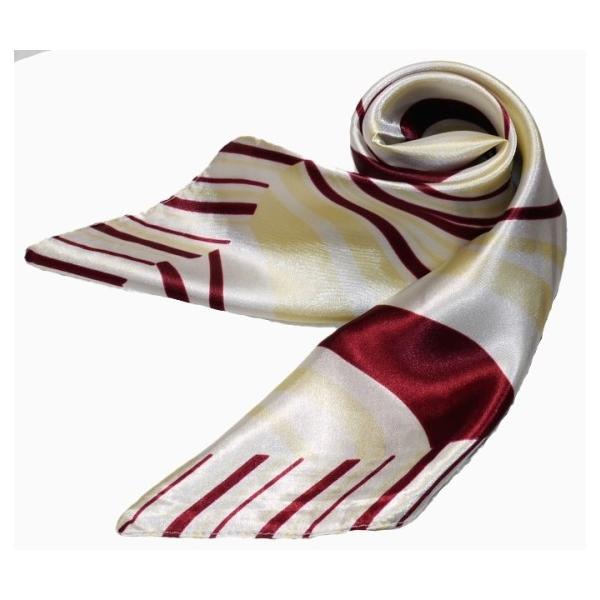 킢VNXJ[t@ 60cm`XJ[t{@ ƐXJ[t @ɁAfjɁAobOɁAɎglCXJ[t