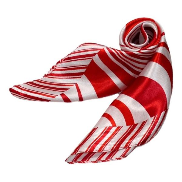 킢VNXJ[t@ 60cm`XJ[t{@ ƐXJ[t @ɁAfjɁAobOɁAɎglCXJ[t