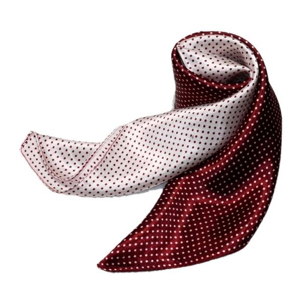 킢VNXJ[t@ 60cm`XJ[t{@ ƐXJ[t @ɁAfjɁAobOɁAɎglCXJ[t