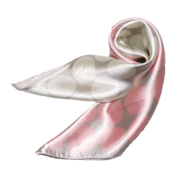 킢VNXJ[t@ 60cm`XJ[t{@ ƐXJ[t @ɁAfjɁAobOɁAɎglCXJ[t