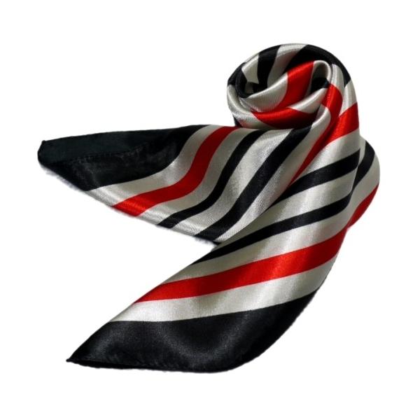 킢VNXJ[t@ 60cm`XJ[t{@ ƐXJ[t @ɁAfjɁAobOɁAɎglCXJ[t