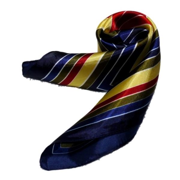 킢VNXJ[t@ 60cm`XJ[t{@ ƐXJ[t @ɁAfjɁAobOɁAɎglCXJ[t