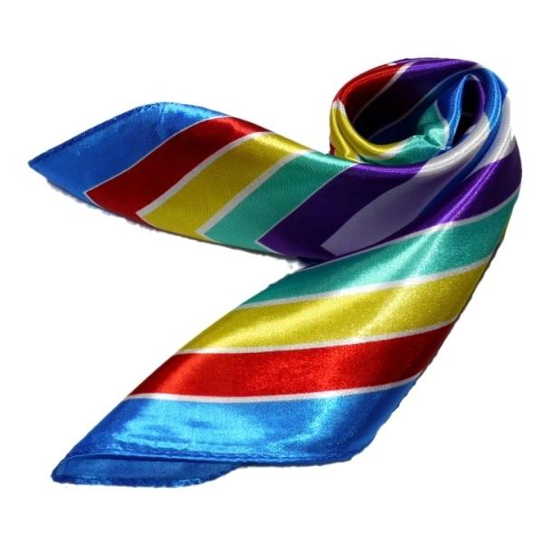 킢VNXJ[t@ 60cm`XJ[t{@ ƐXJ[t @ɁAfjɁAobOɁAɎglCXJ[t