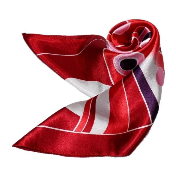 킢VNXJ[t@ 60cm`XJ[t{@ ƐXJ[t @ɁAfjɁAobOɁAɎglCXJ[t