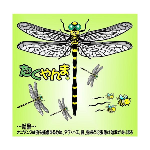 たくやんま : タク技研.com - 通販 - Yahoo!ショッピング