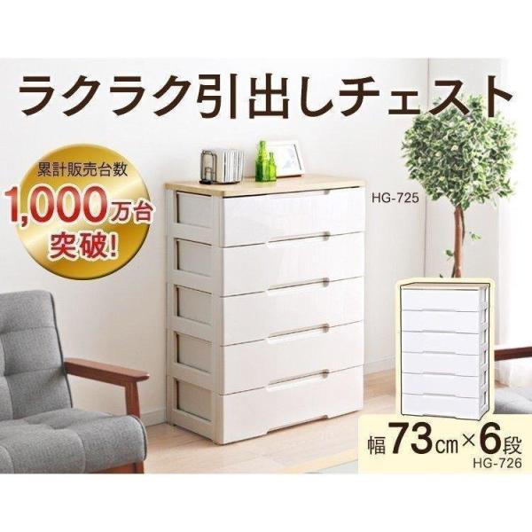 IRIS OHYAMA（アイリスオーヤマ） 2台セット 収納ケース プラスチック