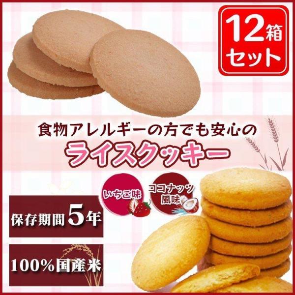 尾西食品 非常食 ライスクッキー 12箱 セット ココナッツ いちご 防災