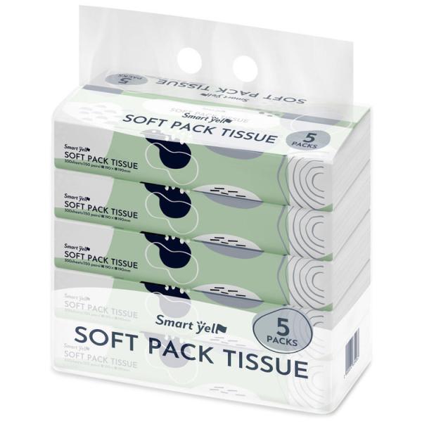 （検索用：ソフトパックティッシュ ティッシュ ティッシュペーパー ティシュ― 紙製品 5パック ソフトパック 箱なし 日用品 備蓄 ）
