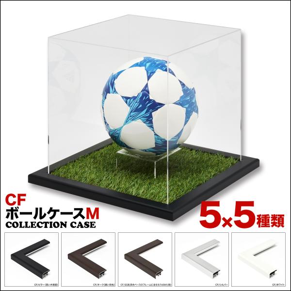 送料無料】コレクションボックス 【CF ボールフレーム Mサイズ