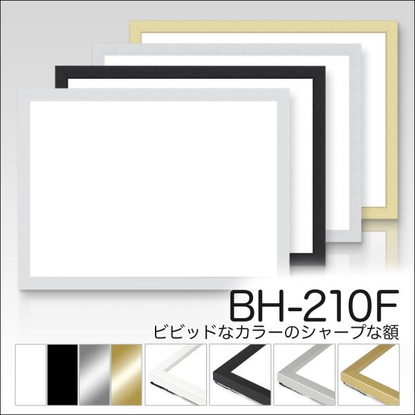 デッサン額 【BH-210F】インチ判サイズ　デッサン額 額縁（がくぶち）水彩画　アルミ製 デッサン縁 お手ごろな値段で良質な人気商品