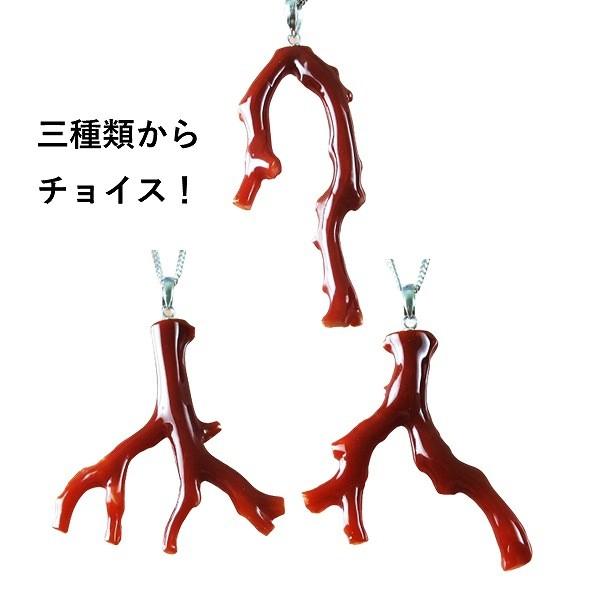 血赤珊瑚 枝型 ペンダント (のし等ギフト対応無料) K14WG金具 40cm 