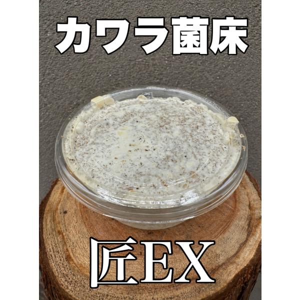 カワラ菌床 匠EX 菌床プリンカップ