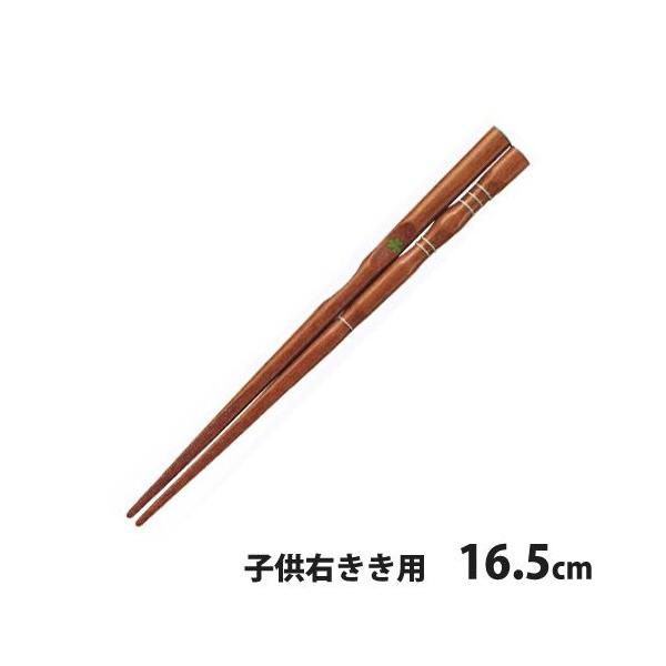 CV_@O_x@͂@16.5cm@qEEp@@`O