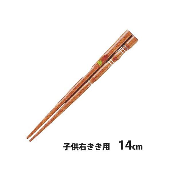 CV_@O_x@͂@14cm@qEEp@@`O