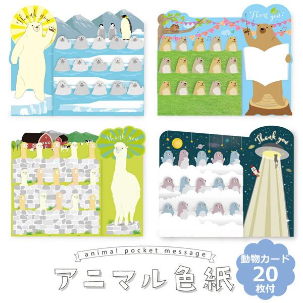 アニマル色紙 プレーリー アザラシ モグラ アルパカ Ar 28 29 30 メッセージカード 寄せ書き アルタ 思い出 卒業 引越し 退職 記念 送別 Ar 30 匠ーtakumiー 通販 Yahoo ショッピング