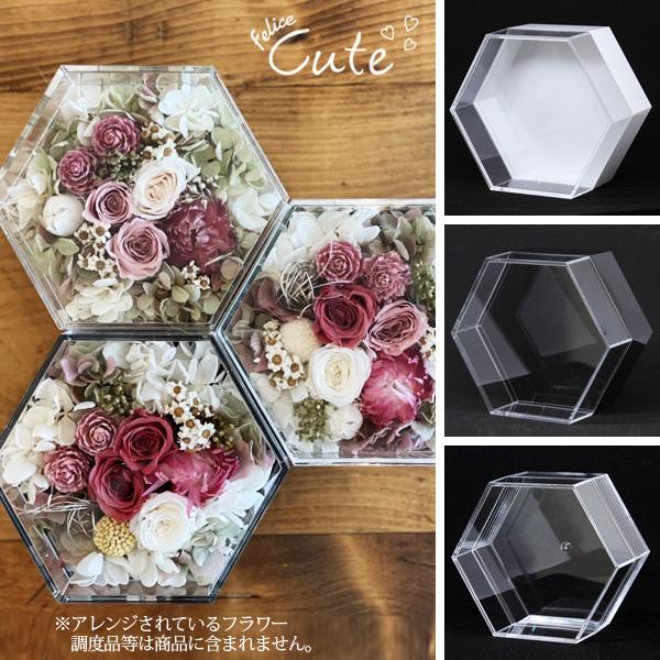 Hacocoro フェリーチェ キュート HH-C93 六角形 花材 花器 インテリア