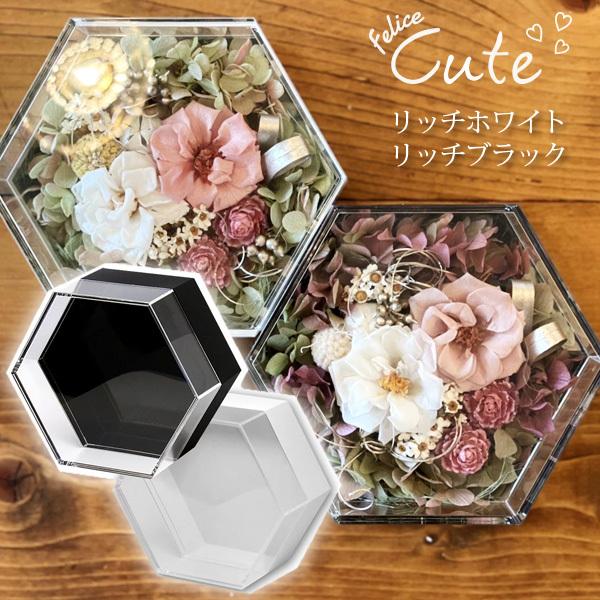 超お得‼️フェリーチェ キュート リッチホワイト　アクリル透明ケース　24個 Hacocoro フェリーチェ キュート リッチ HH-C93-RKM RWM 六角形 花材