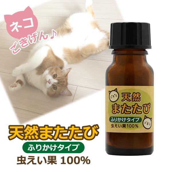 猫用 またたび 粉末 5g 虫えい果（ちゅうえいか）100% 純粉末 ねこ ネコ 猫 またたび 粉 日本製 定形外発送