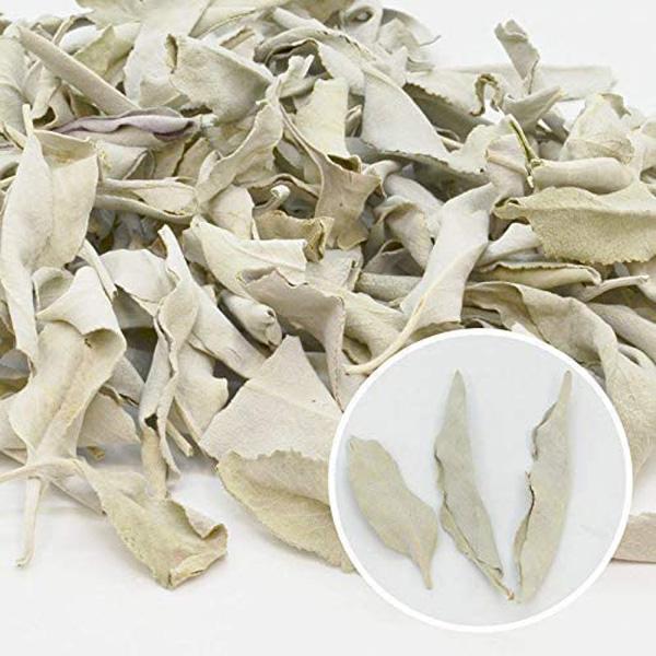 まるページ☆無農薬ホワイトセージ枝無しリーフ1.5KG まる様専用ページ☆無農薬ホワイトセージ枝無しリーフ1.5KG