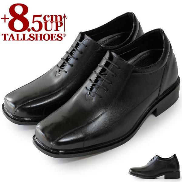 V[NbgV[Y vC rWlXV[Y V[Nbg C Y g[V[Y wȂC 8.5cm gAbv V[Y グC  {vC