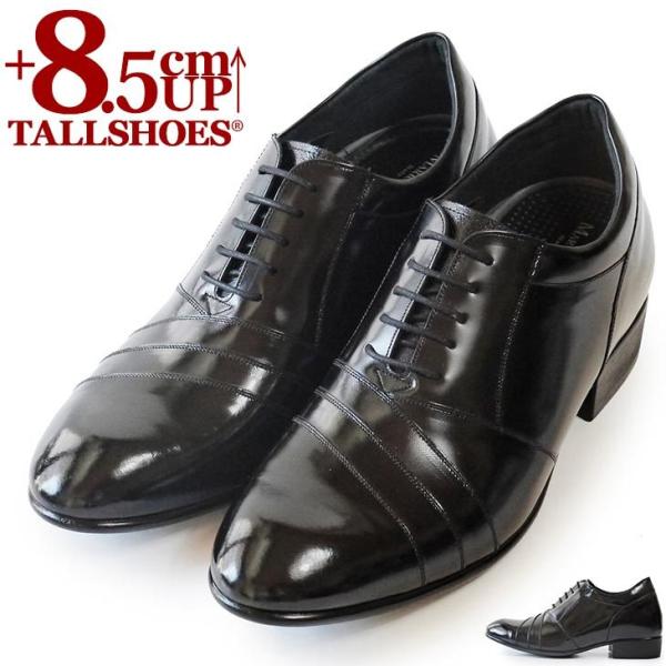 V[NbgV[Y vC rWlXV[Y V[Nbg C Y g[V[Y wȂC 8.5cm gAbv V[Y グC  {vC