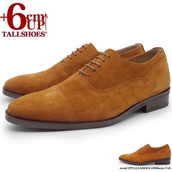 V[NbgV[Y  vC g[V[Y 6cm rWlXV[Y C amC gAbv wȂC XG[hC  {v q[Abv