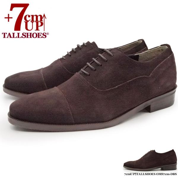 V[NbgV[Y  vC g[V[Y 7cm rWlXV[Y C amC gAbv wȂC XG[hC  {v q[Abv