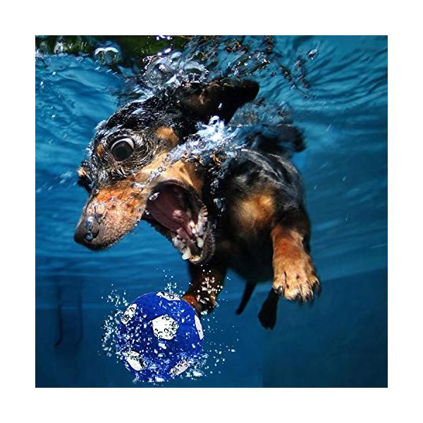 Eetoys 犬用おもちゃ 音が出る玩具 訓練しつけ用 犬用品 ペットおもちゃ 遊び おもちゃ ペット用品 Tam